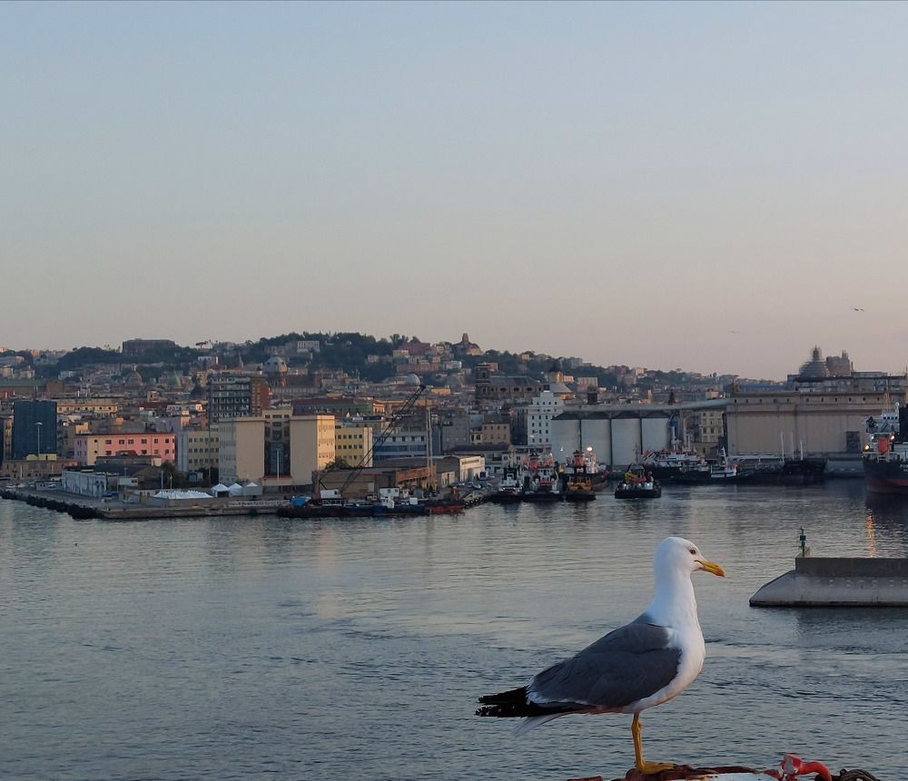 Photograph by Maggi Daniele