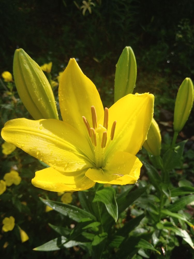 Photograph by Екатерина Евгеньевна