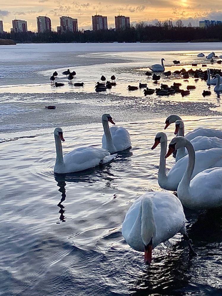 Фотография автора Светлана Герасимук