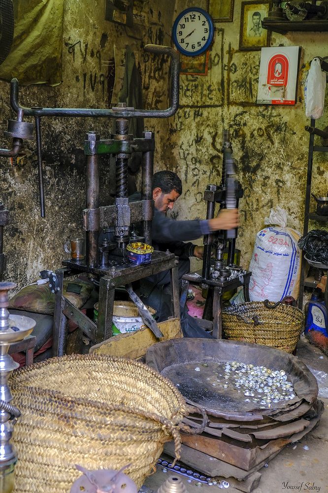 Photograph by Youssef Sabry