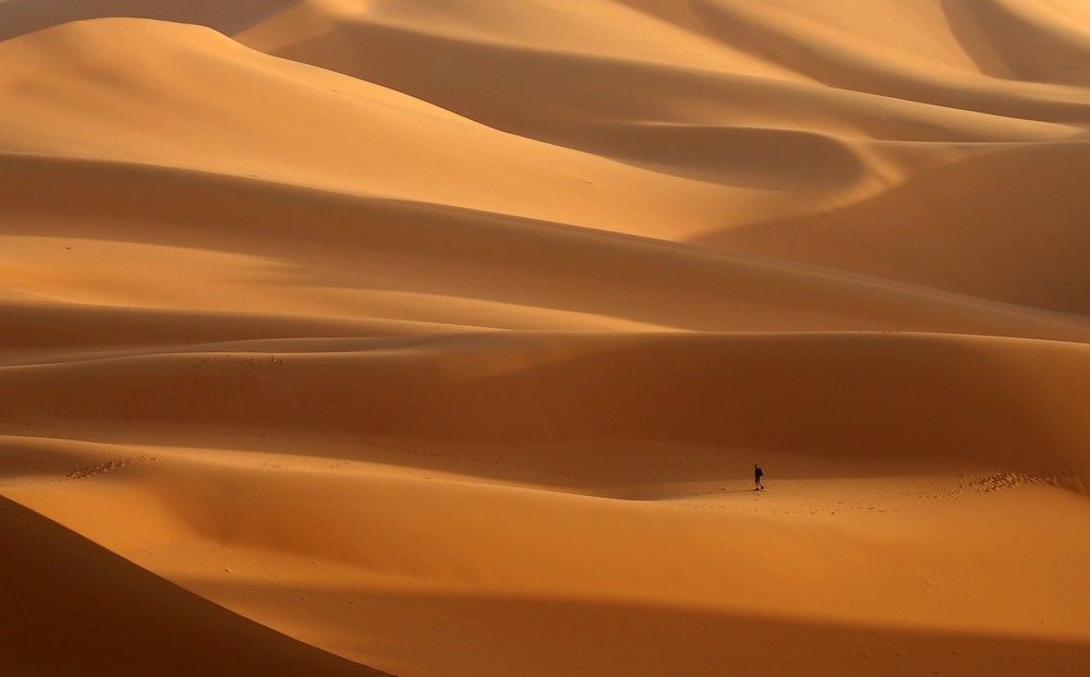 Photograph by Диана Жагрина