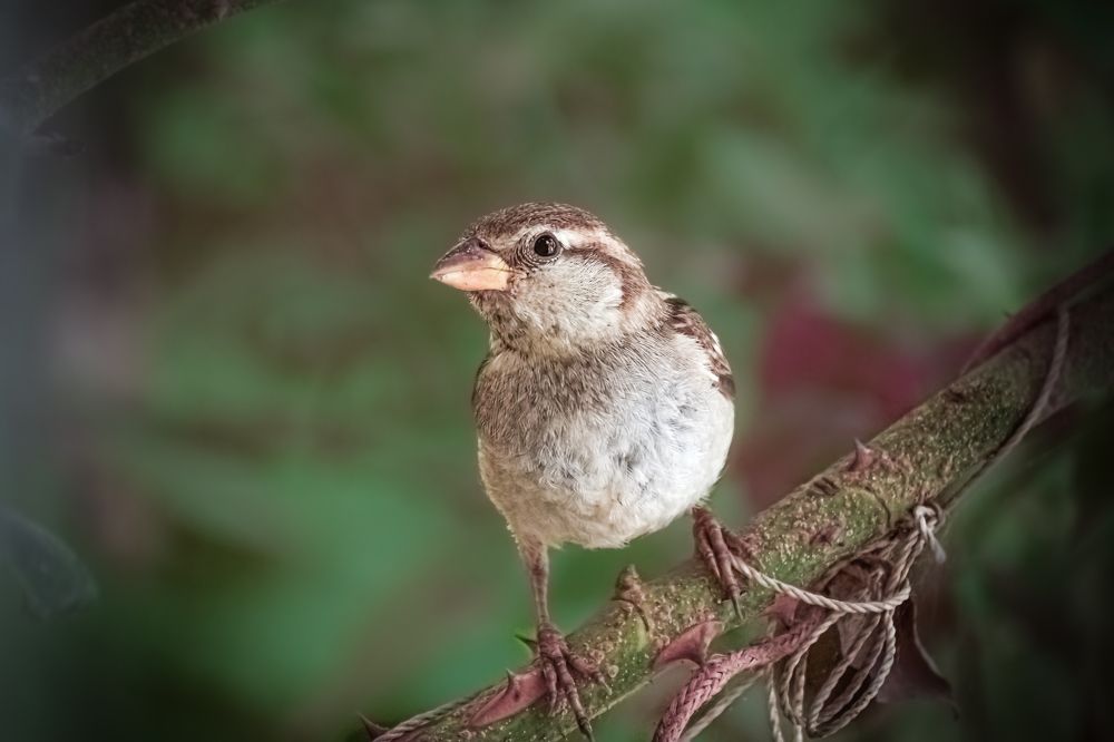 Photograph by kamel draa