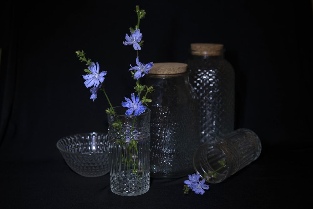 Photograph by Надежда Пухова