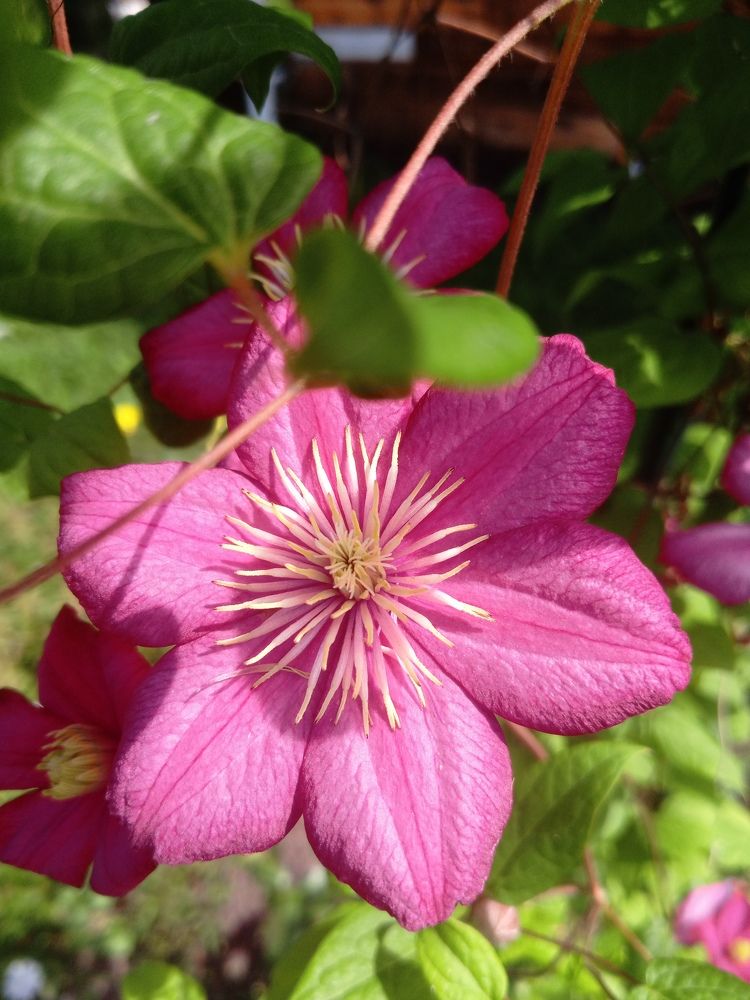 Photograph by Екатерина Евгеньевна