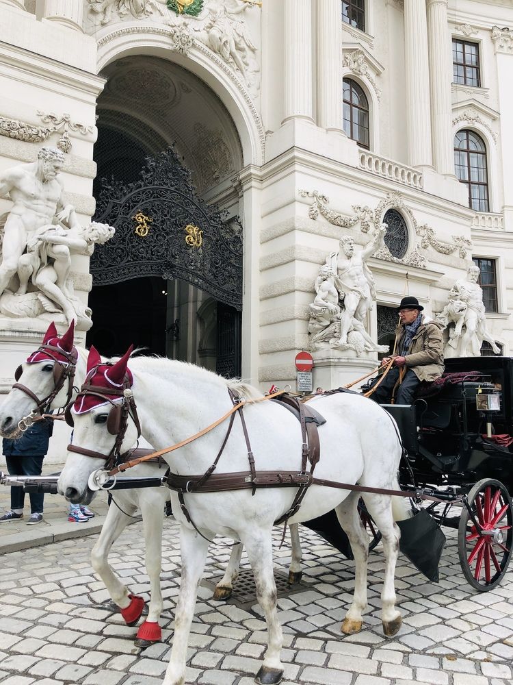 Photograph by Лариса