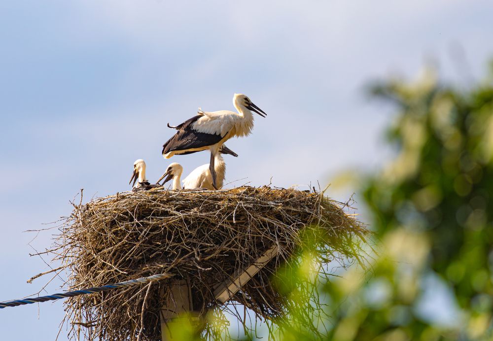 Photograph by Дмитрий Макинский