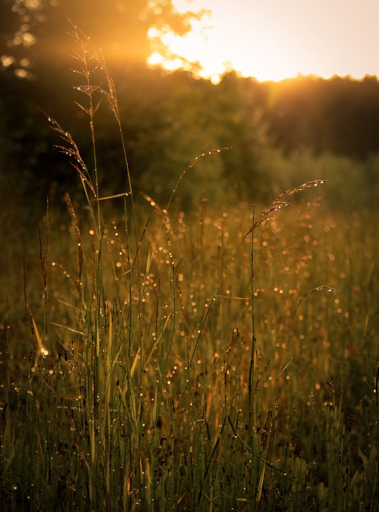 Photograph by Виктория Семенюта