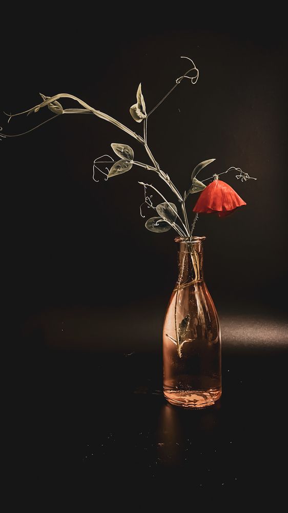 Photograph by Людмила Казак