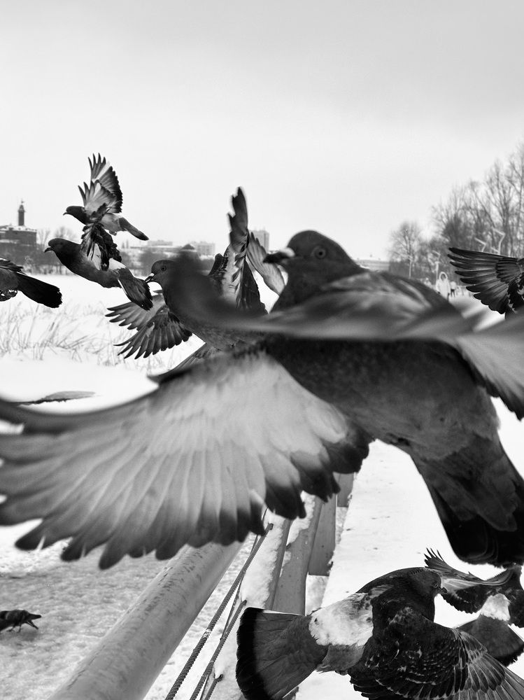 Photograph by Ксения Гулькова