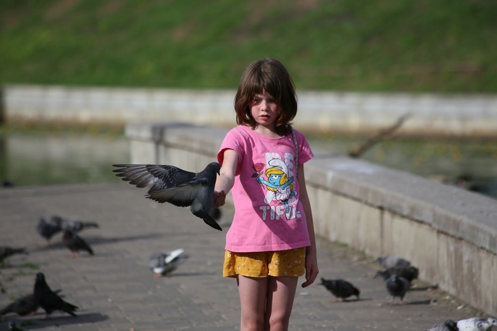 Photograph by Фомочкин Алексей