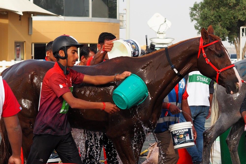 Photograph by Сергей Пушкин