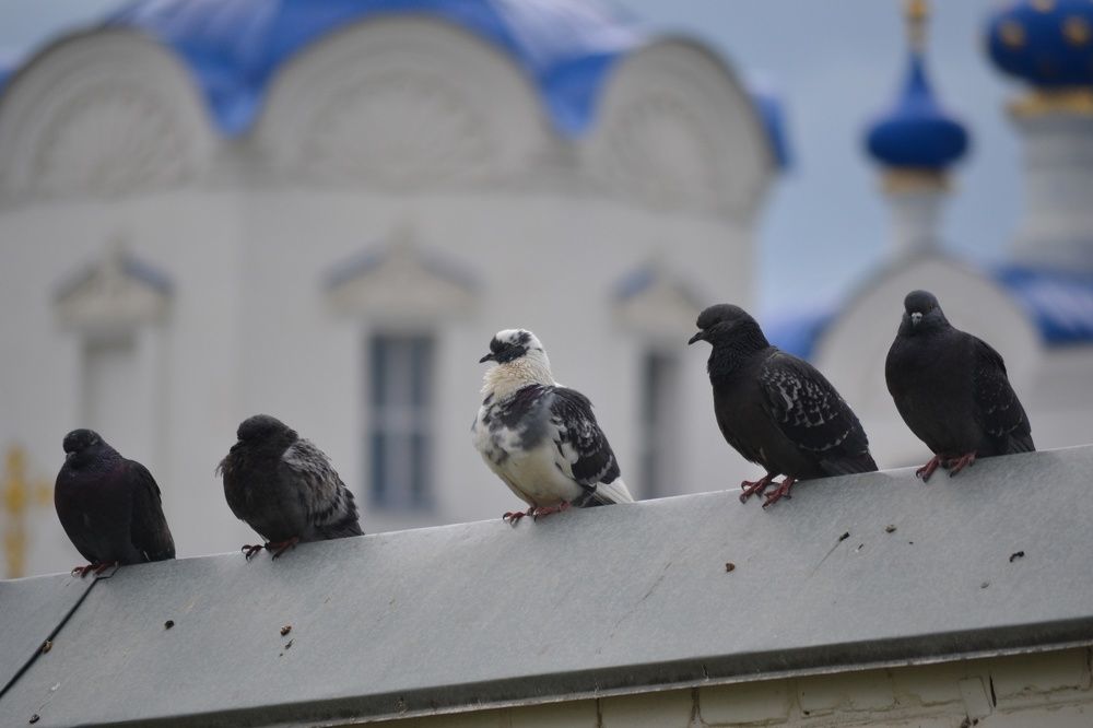 Photograph by Фомочкин Алексей