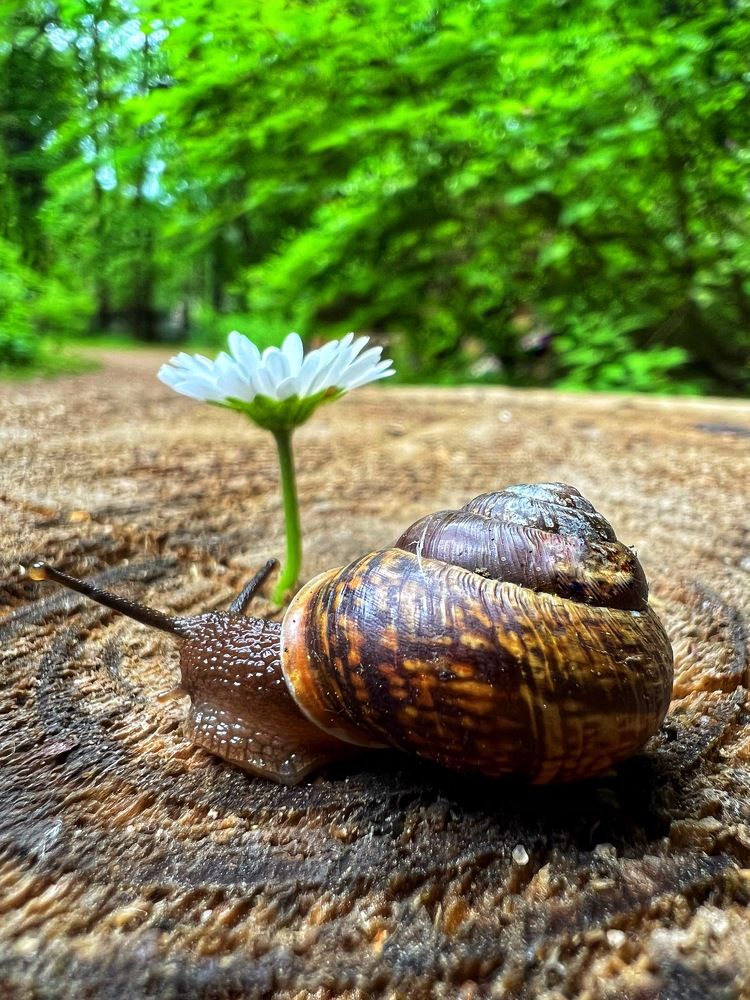 Photograph by Анастасия Германова