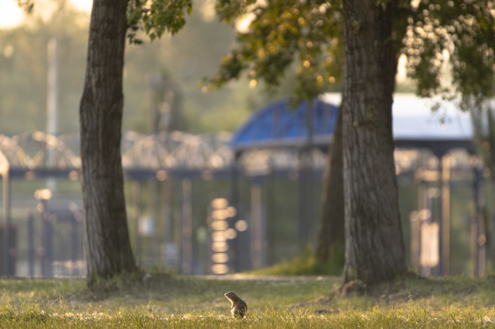 Photograph by Светлана Андреева