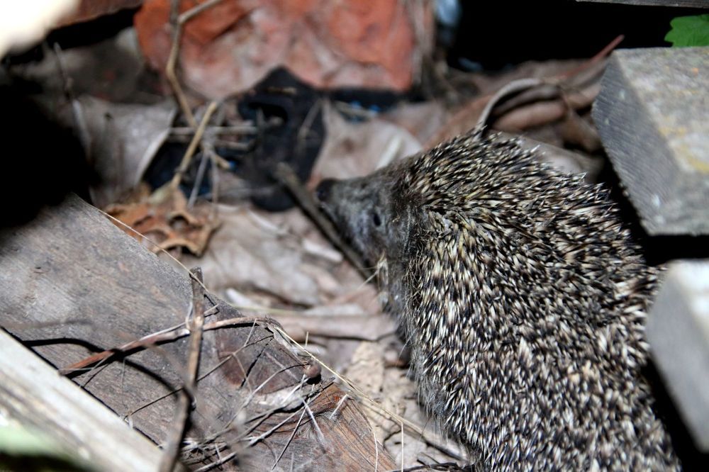 Photograph by Юрий Варюхин