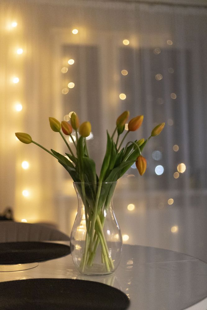 Photograph by Lera Sayapina