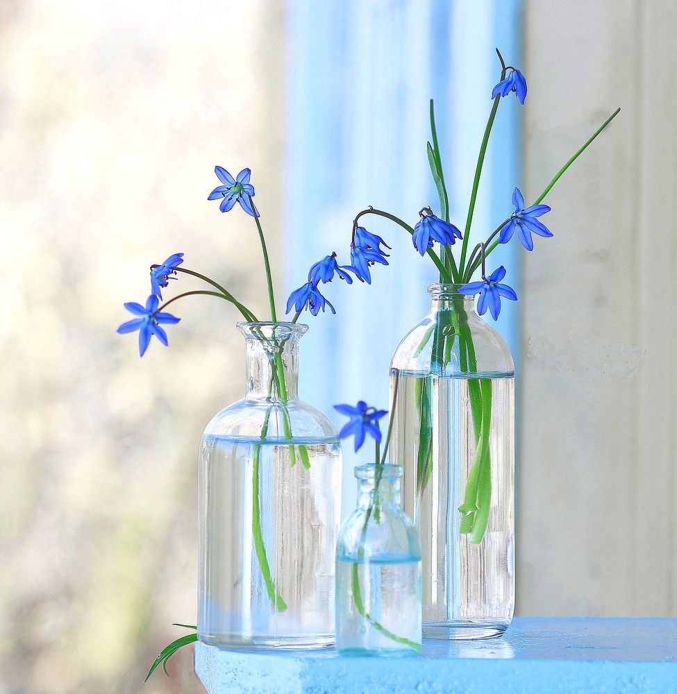 Photograph by Наталья Казанцева