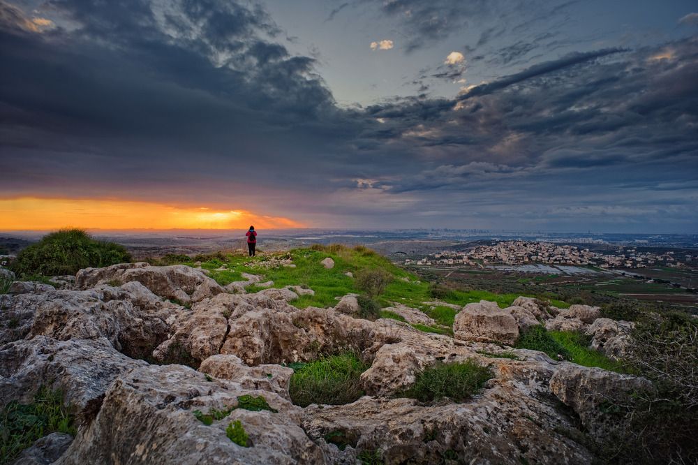 Фотография автора David Solodar