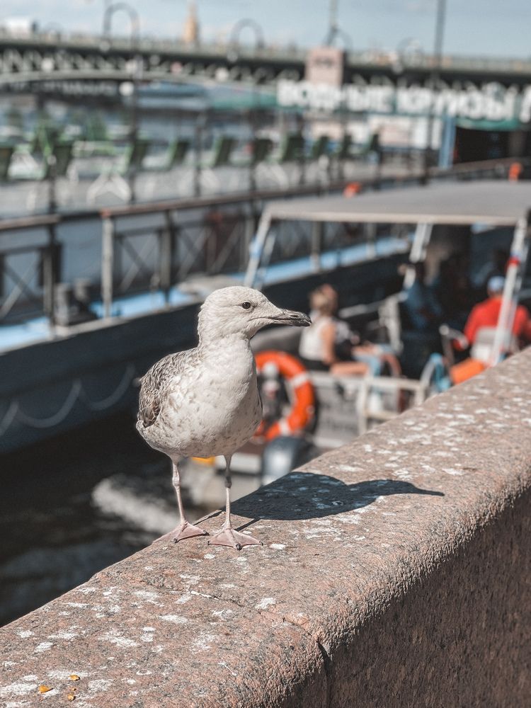 Photograph by Tina Baks