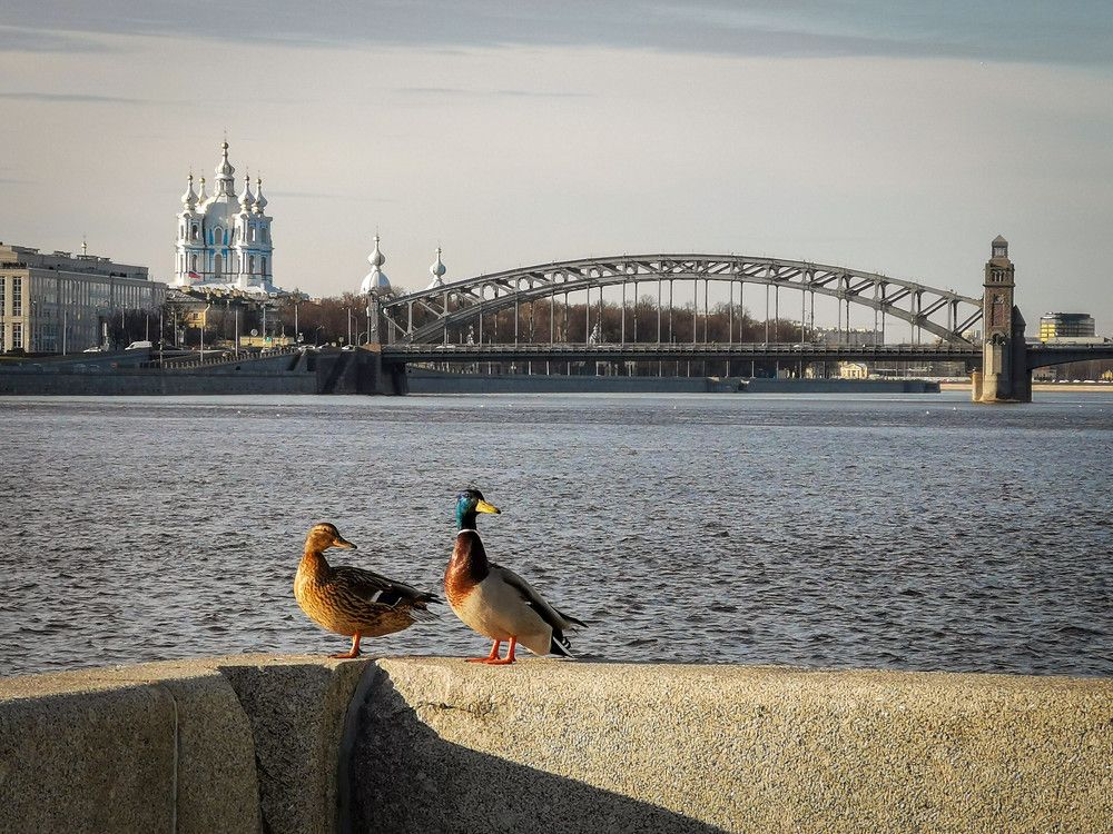 Photograph by Svetlana Dorokhova