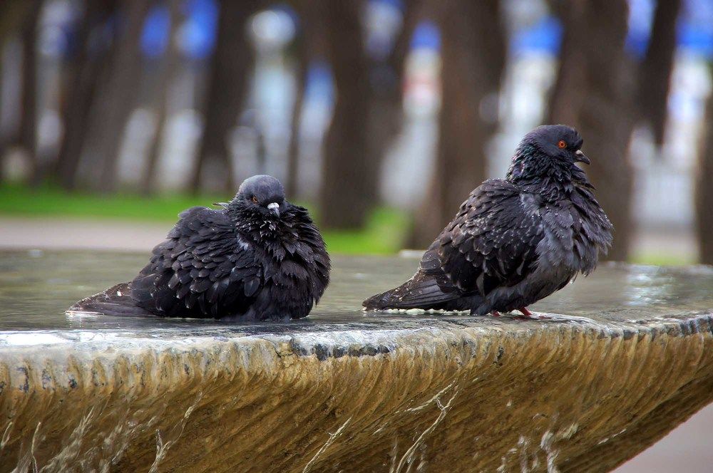 Photograph by Евгений Киселев