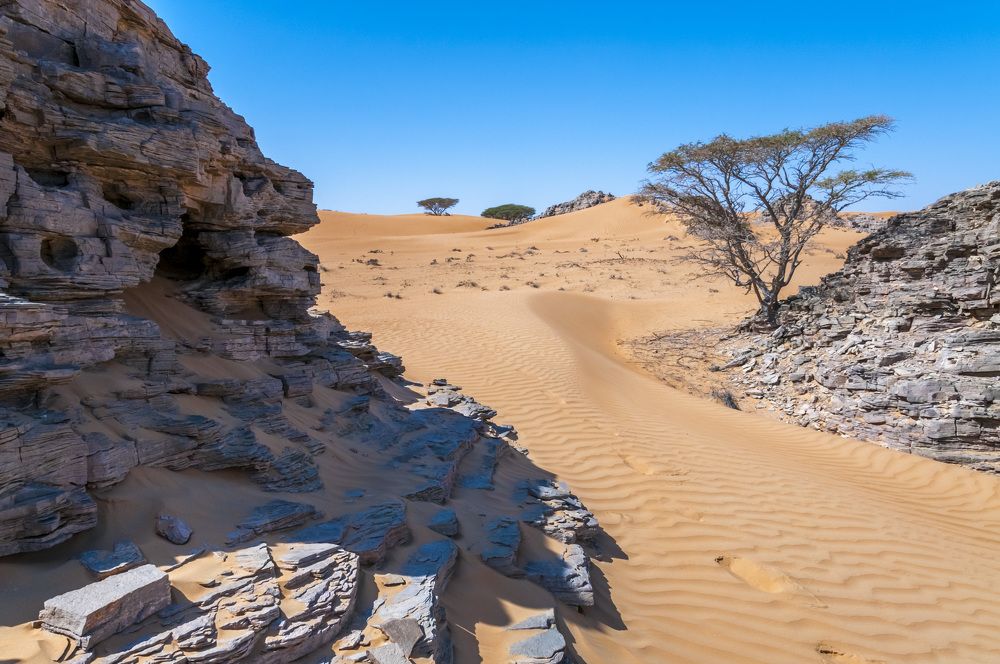 Photograph by Dhananjay Jadhav