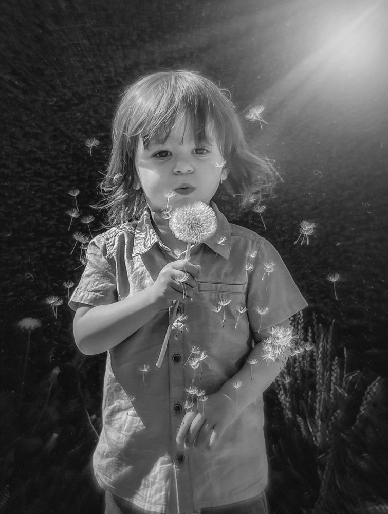 Photograph by Anya Lo