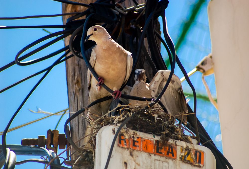 Photograph by Ivan Diaz Lopez