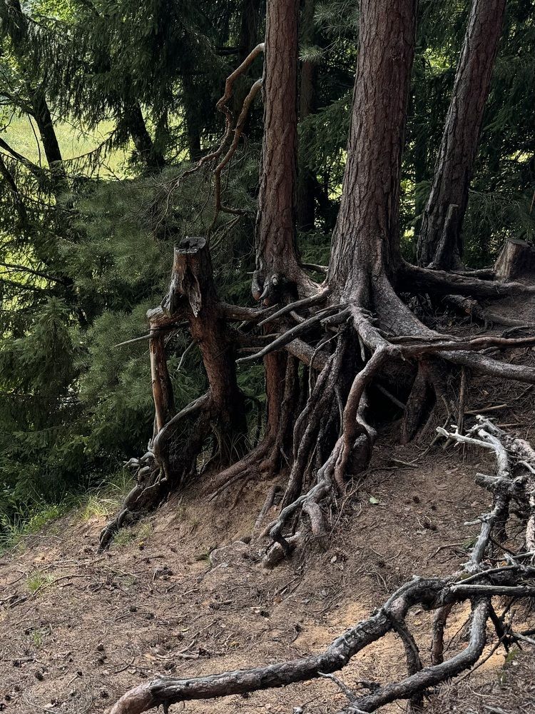 Photograph by Галина Махонь