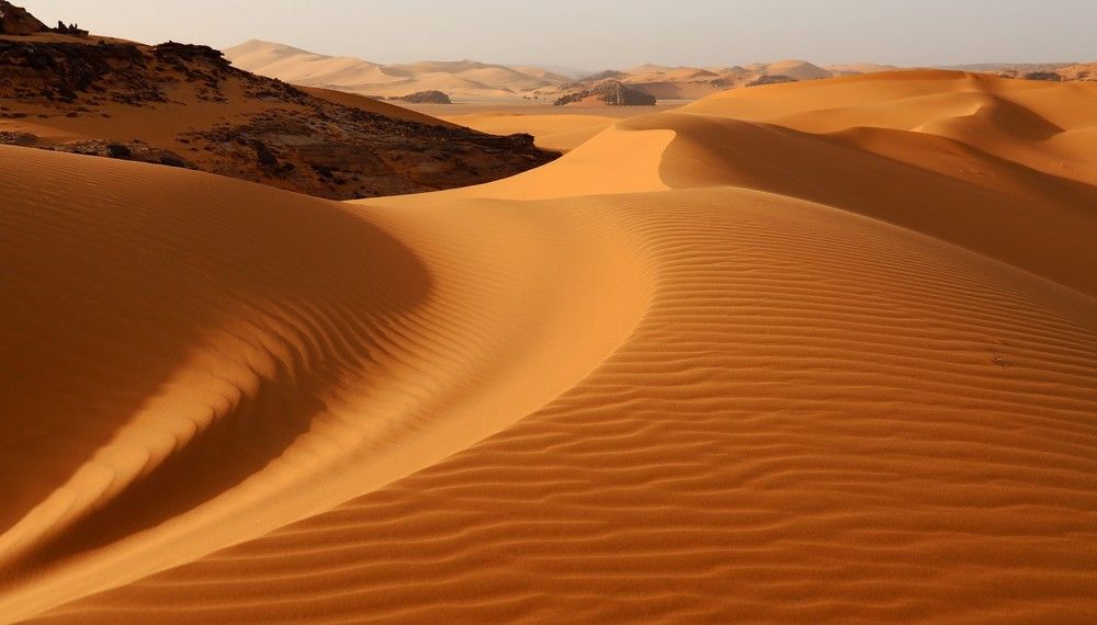 Photograph by Диана Жагрина