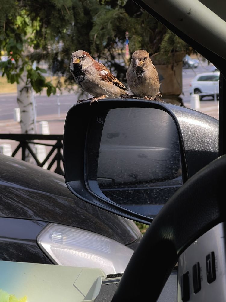 Photograph by Марина