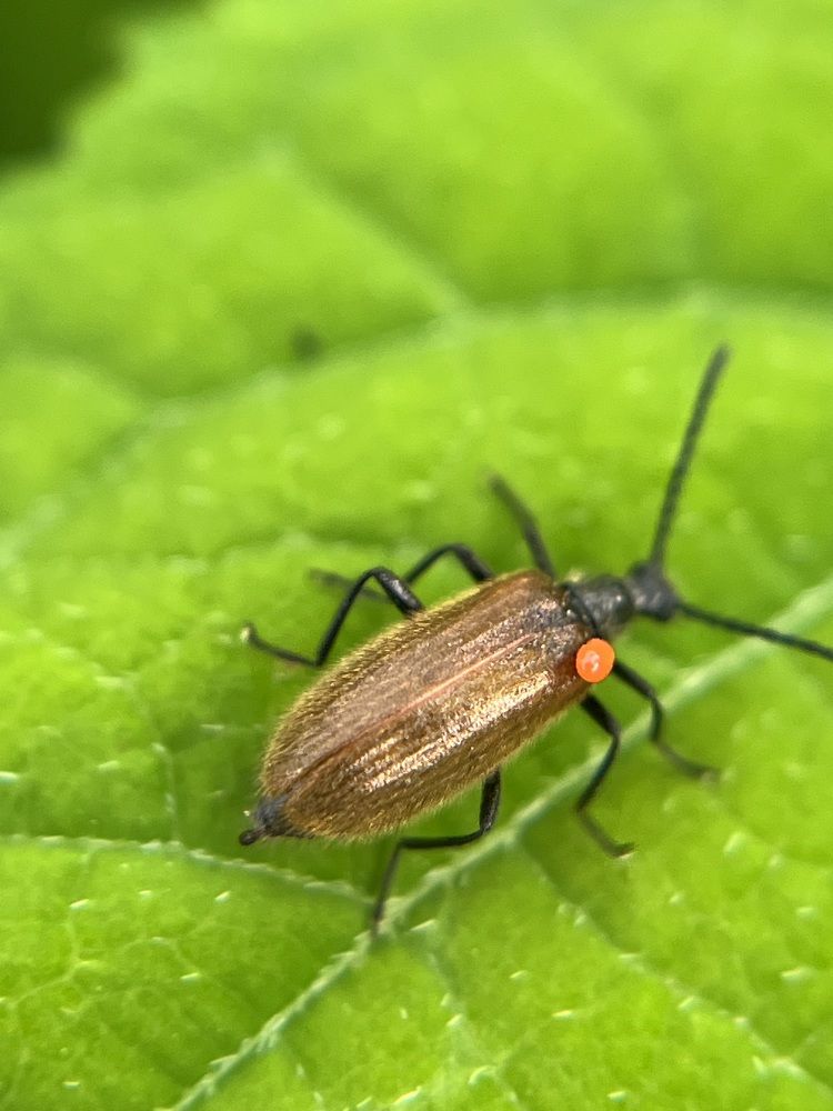 Photograph by Татьяна Михайловна