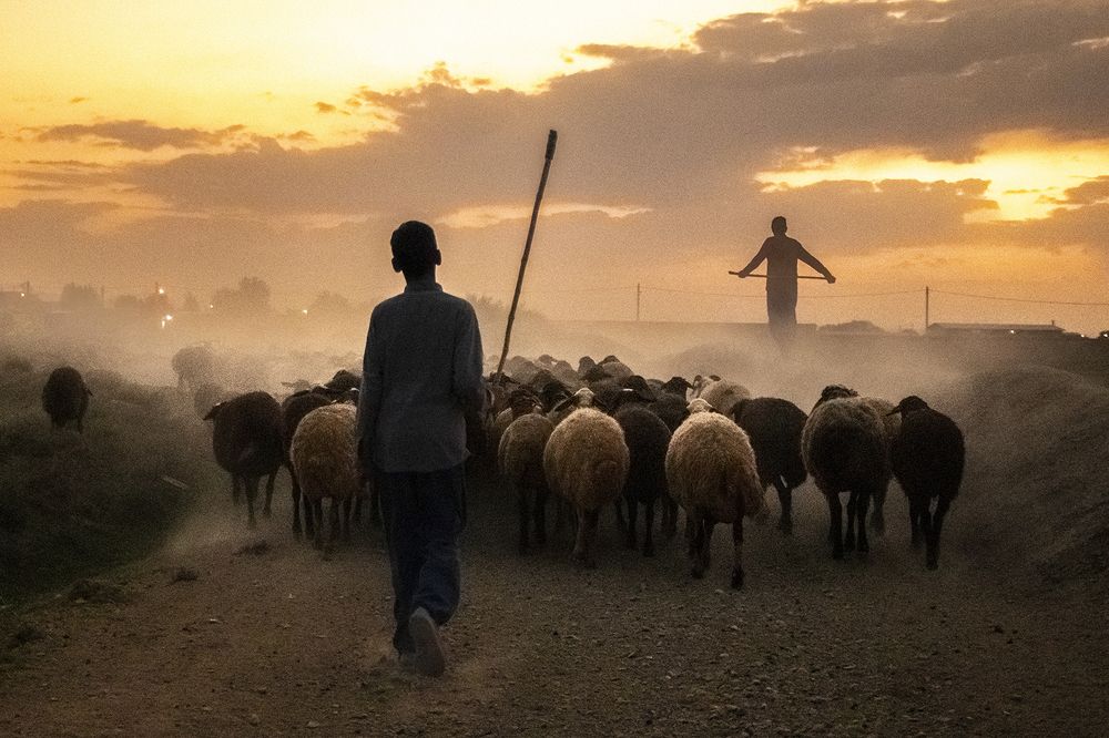 Photograph by Samira sarayani