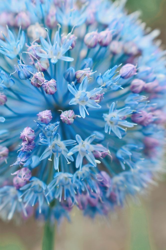 Photograph by Ольга Топорищева