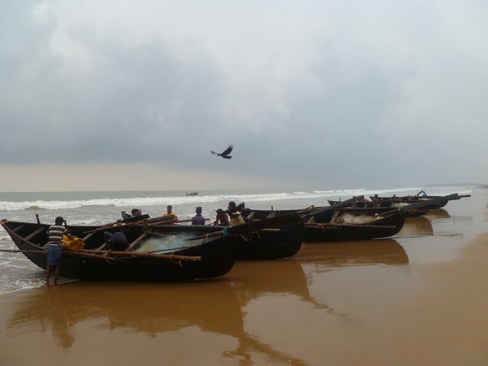 Photograph by Susobhan Biswas