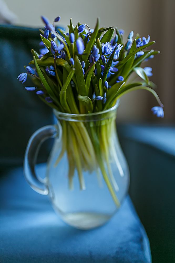 Photograph by Елена Власова