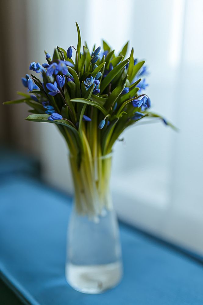 Photograph by Елена Власова