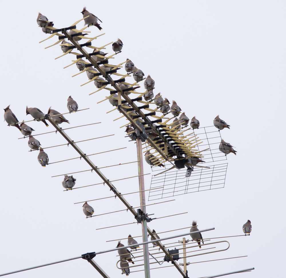 Photograph by Руслан Гончар