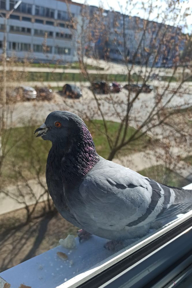 Photograph by Лолита Богачева