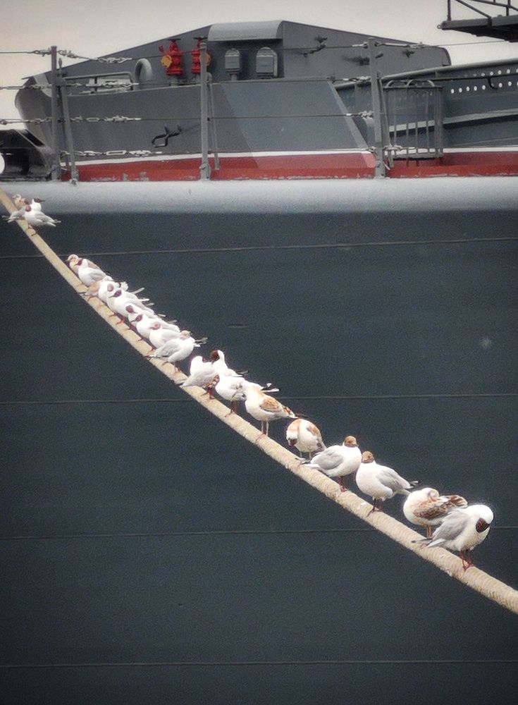 Photograph by Кривенко Владимир