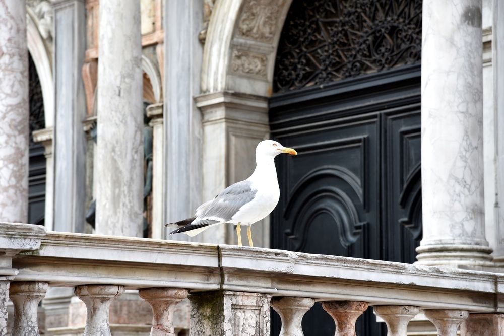 Photograph by Oleg Kogut