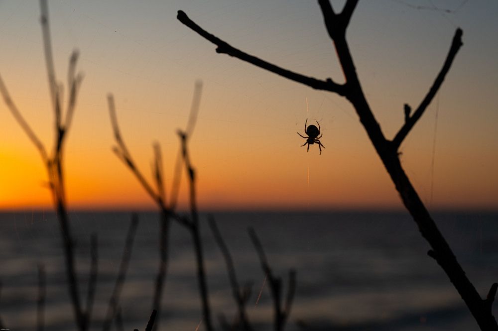 Photograph by Елена Аверина