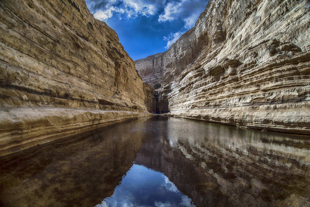 Фотография автора David Solodar