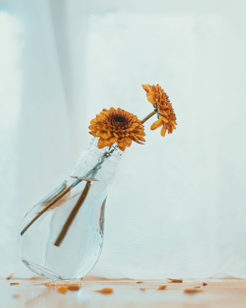 Photograph by Maryam Jassim