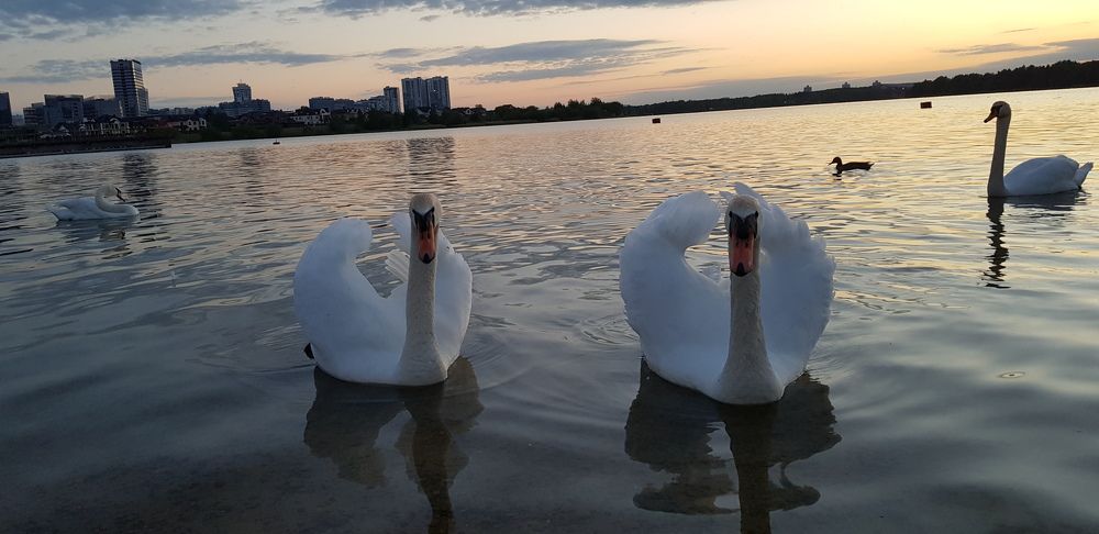 Photograph by наталья