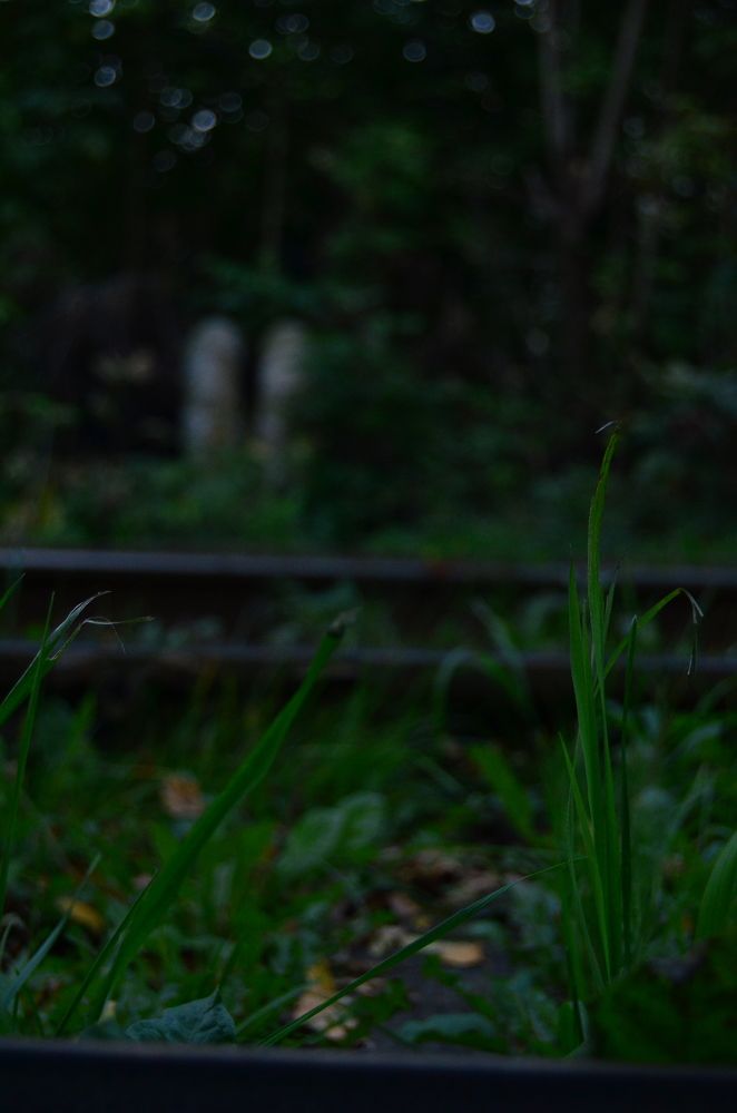 Фотография автора Антонина Клементьева