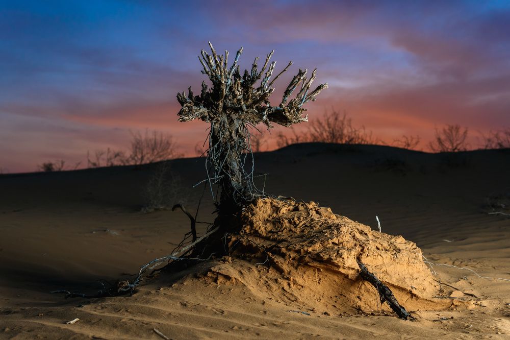 Photograph by Дмитрий Кулемин