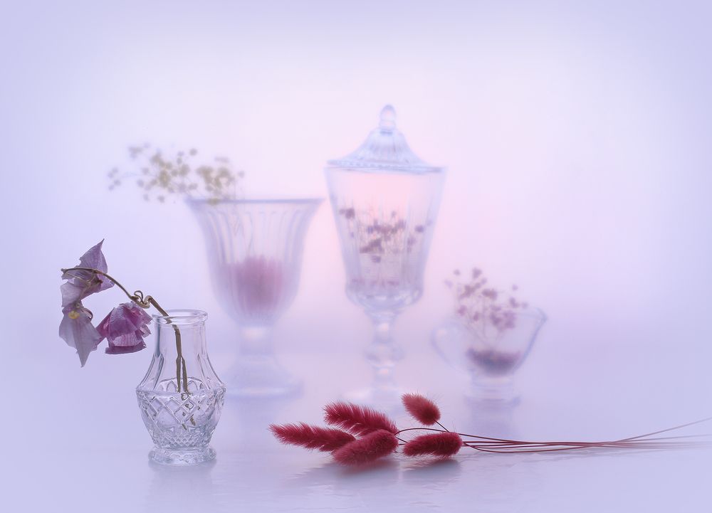 Cиреневый туман