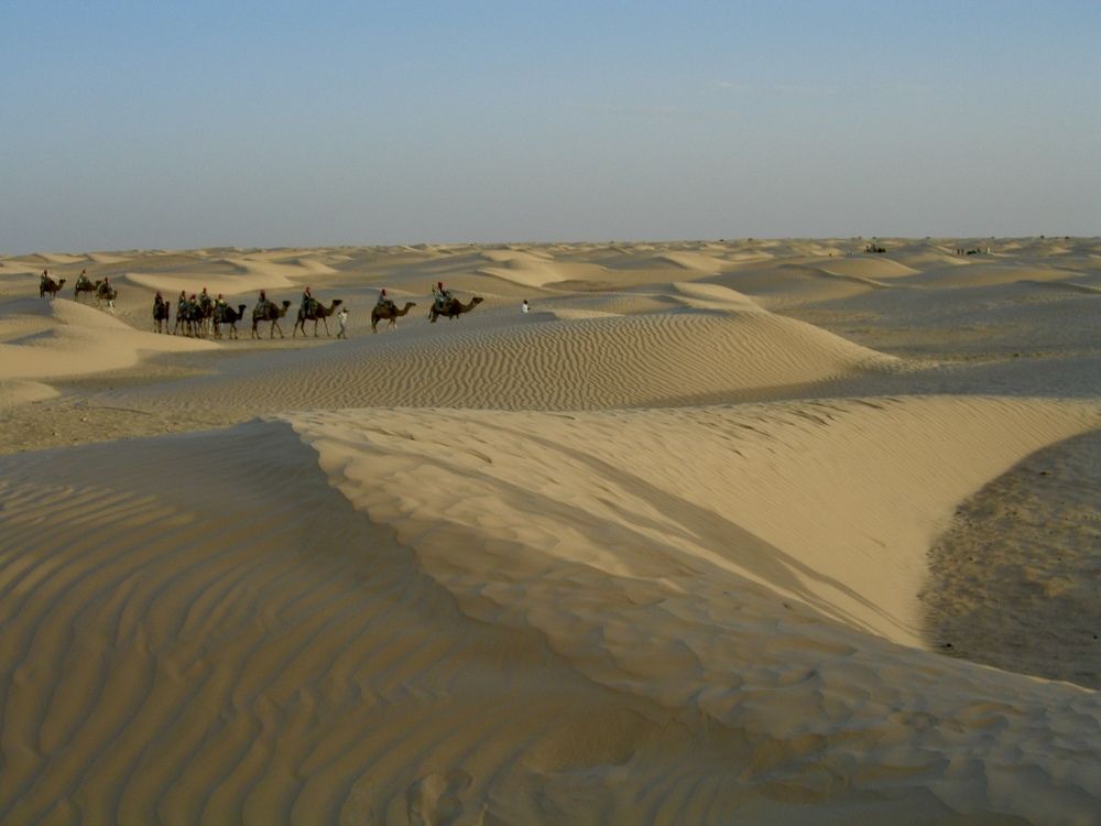 Караван в пустыне.