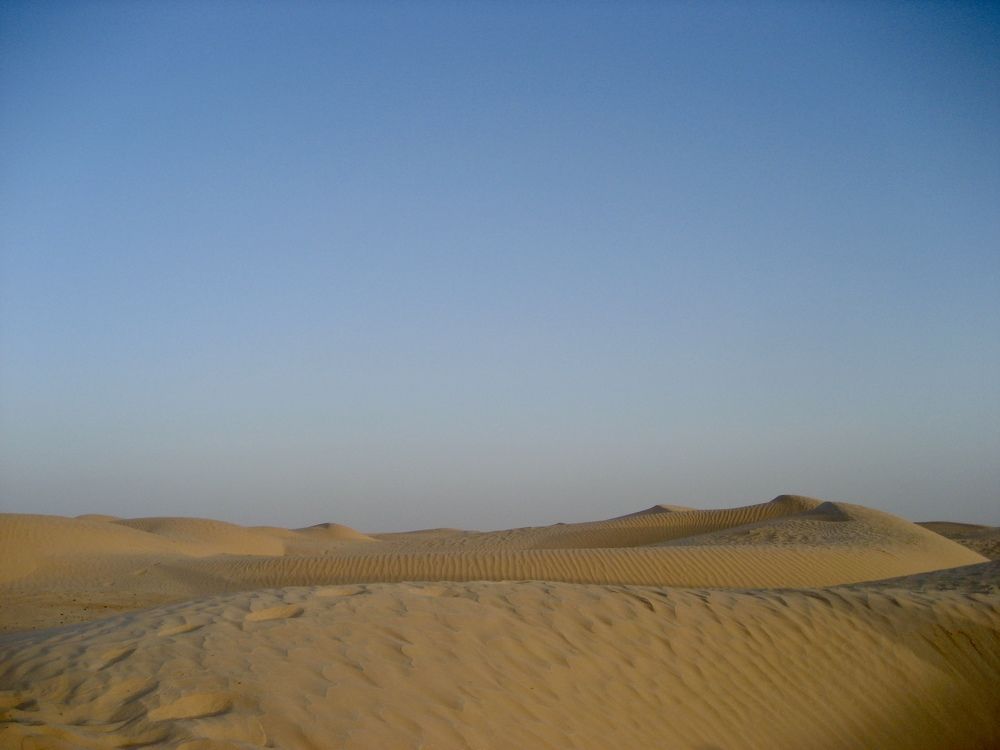 Photograph by Елена Смирнова